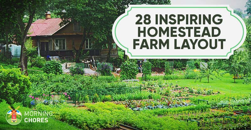 Backyard Farming Ideas
 28 Farm Layout Design Ideas to Inspire Your Homestead Dream