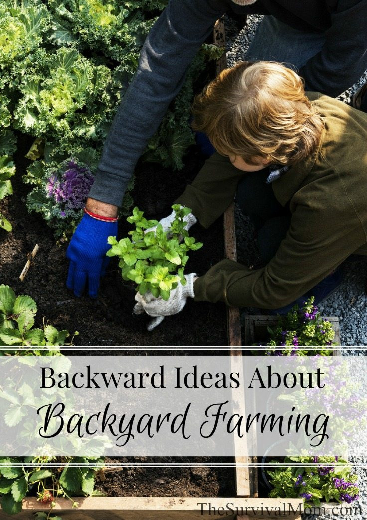 Backyard Farming Ideas
 Backward Ideas About Backyard Farming Survival Mom