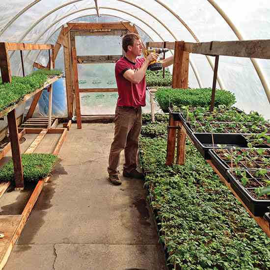 Backyard Farming Ideas
 Urban Backyard Farming for Profit Organic Gardening