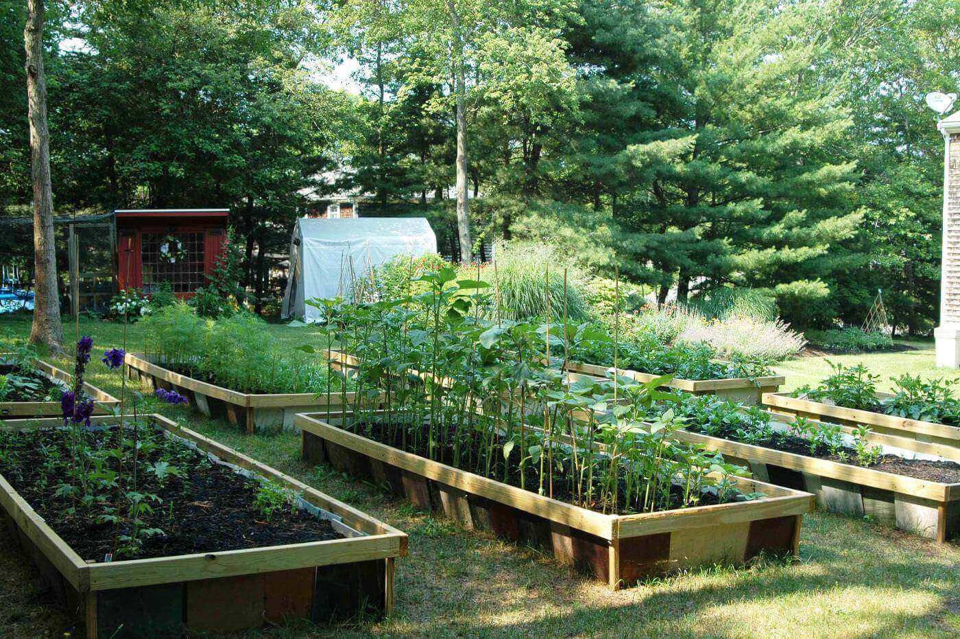 Backyard Farming Ideas
 Backyard Farming on an Acre Ideas