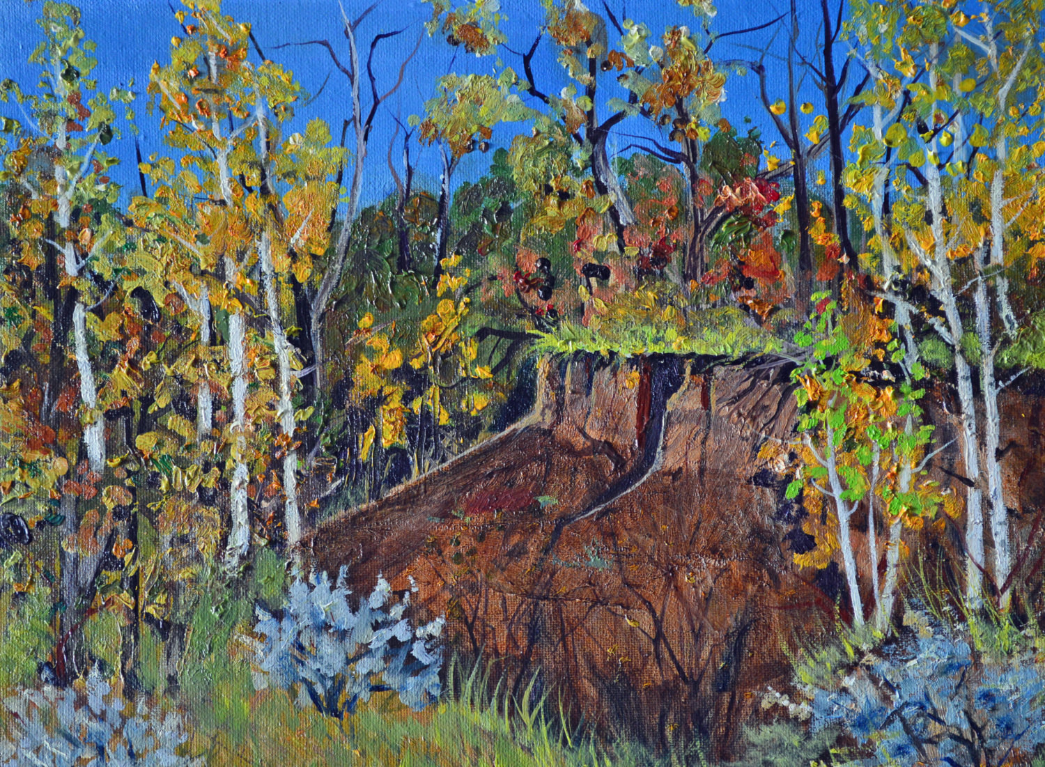 Fall Landscape Painting
 Original oil painting autumn landscape Colorado fine art
