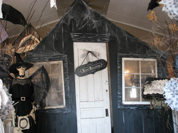 Halloween Haunted House Ideas
 Haunted House Ideas