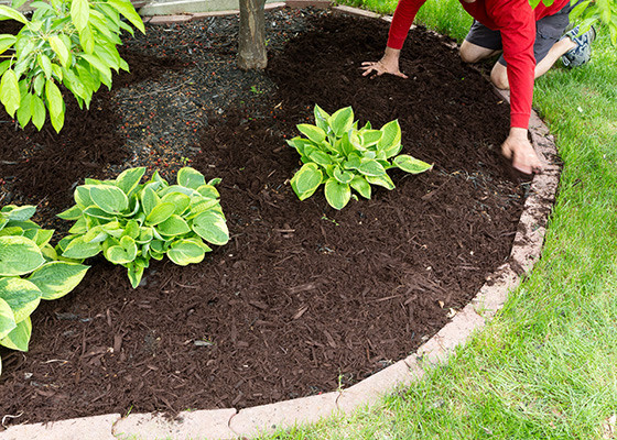 Home Depot Landscape Edging
 6 Ways to Keep Order in Your Borders