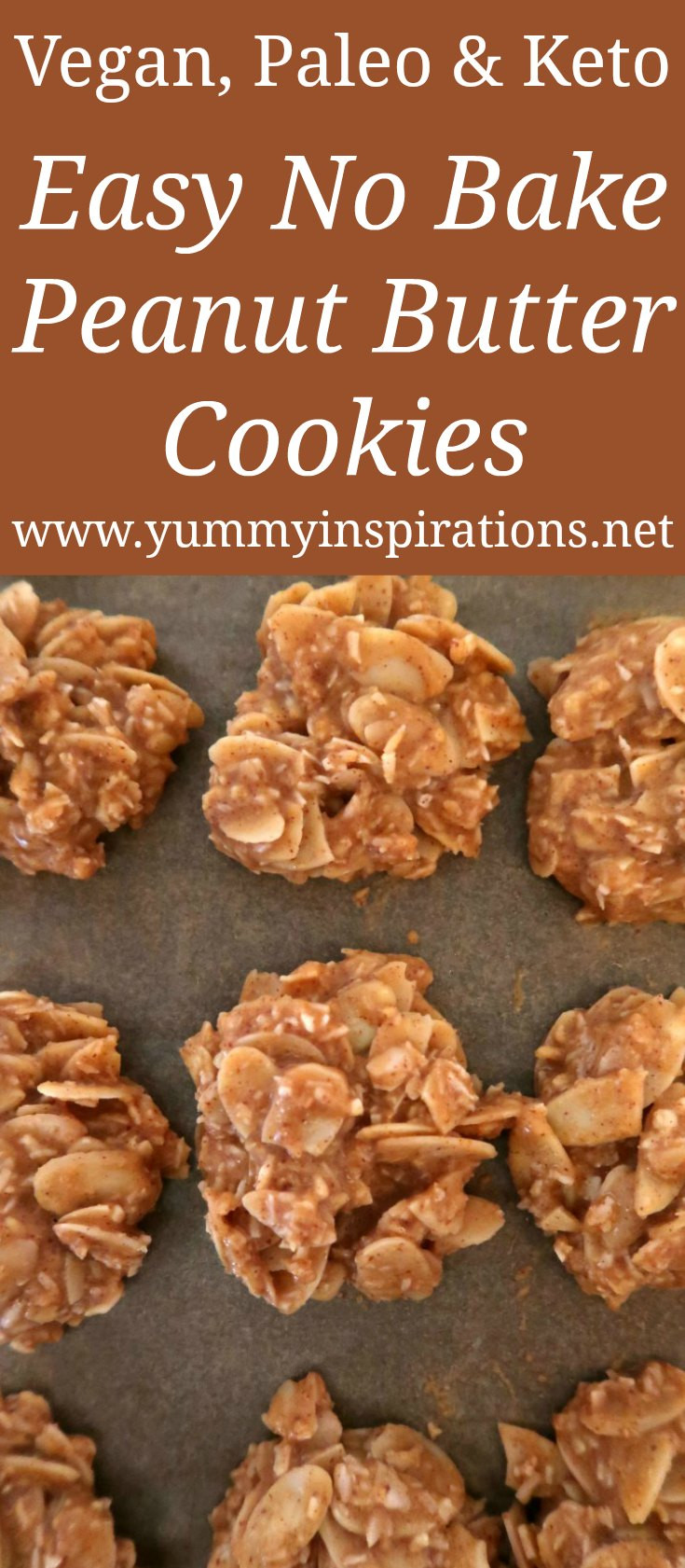 Low Fat No Bake Cookies
 Easy No Bake Peanut Butter Cookies Recipe Low Carb