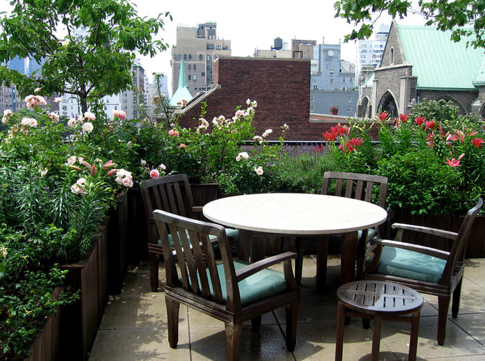 Terrace Landscape Plants
 Best Terrace Roof Garden Plants You should Grow