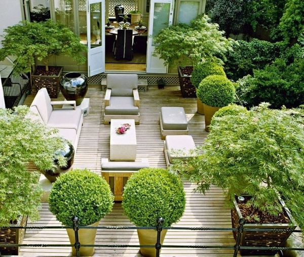 Terrace Landscape Plants
 Modern terrace design – 100 images and creative ideas