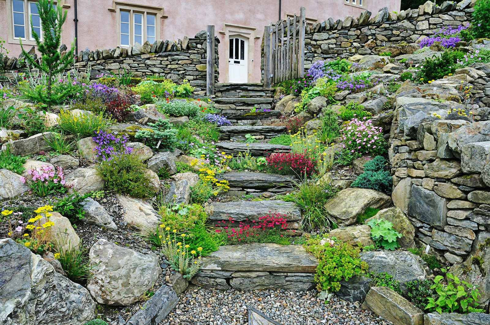 Terrace Landscape Plants
 Amping up your walkways to boost your yard s curb appeal