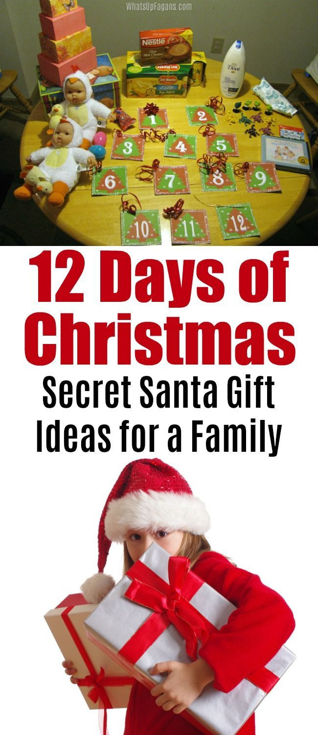 12 Days Of Christmas Gifts For Kids
 7803 best KBN Christmas for Kids images on Pinterest