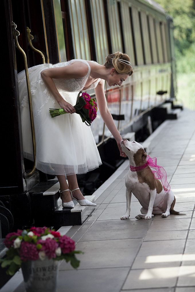 1950s Wedding Theme
 1950s Wedding Theme Hot PInk and Lime