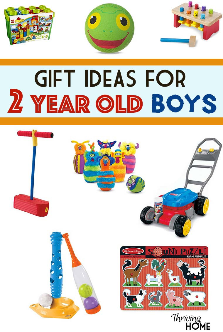 2 Year Old Boy Birthday Gifts
 Gift Ideas for a Two Year Old Boy