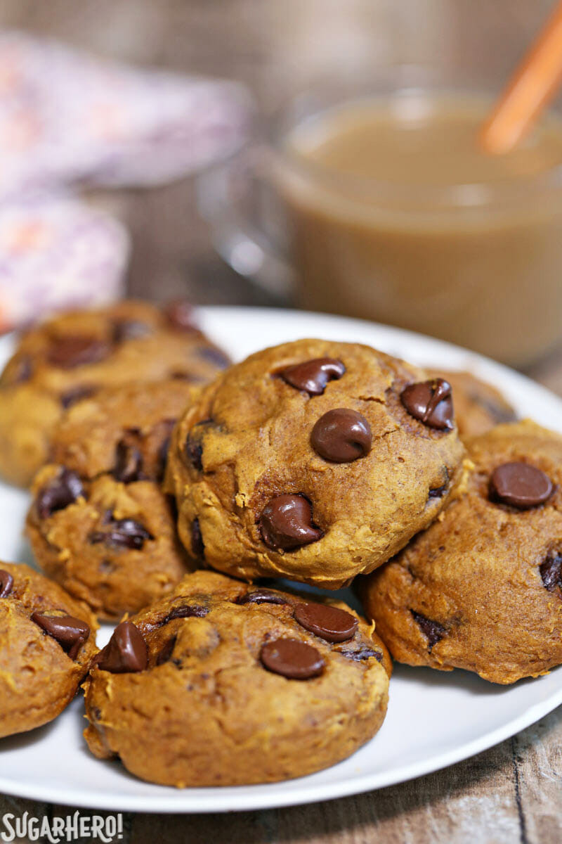 3 Ingredient Pumpkin Cookies
 3 Ingre nt Pumpkin Chocolate Chip Cookies SugarHero