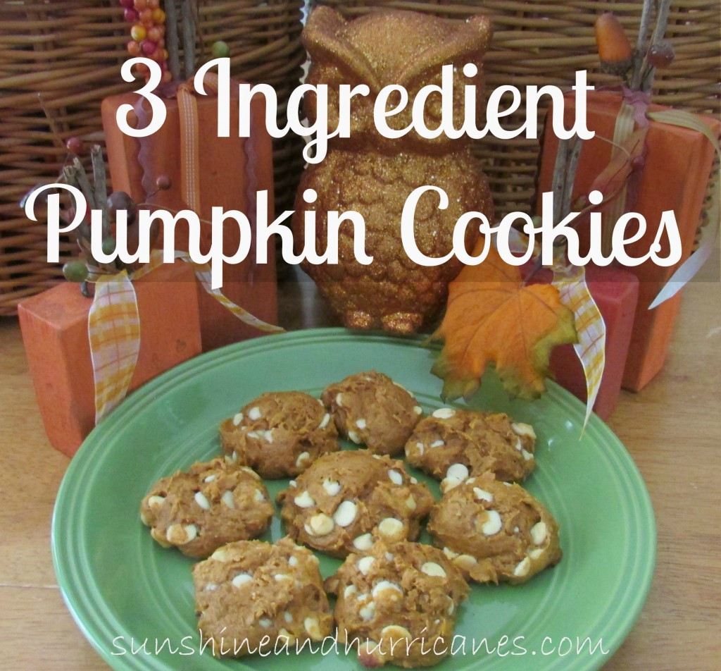 3 Ingredient Pumpkin Cookies
 3 Ingre nt Pumpkin Cookies Sunshine and Hurricanes