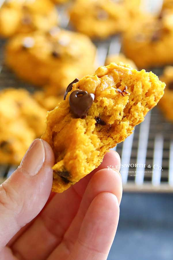 3 Ingredient Pumpkin Cookies
 3 Ingre nt Pumpkin Cookies Kleinworth & Co