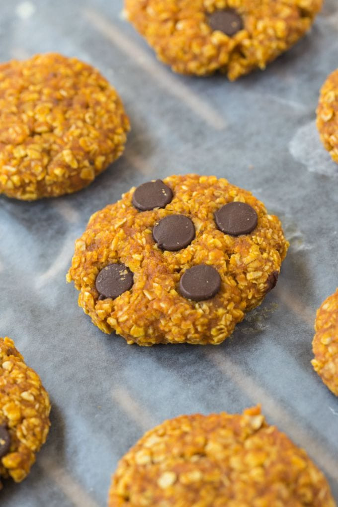 3 Ingredient Pumpkin Cookies
 Healthy 3 Ingre nt Pumpkin Cookies