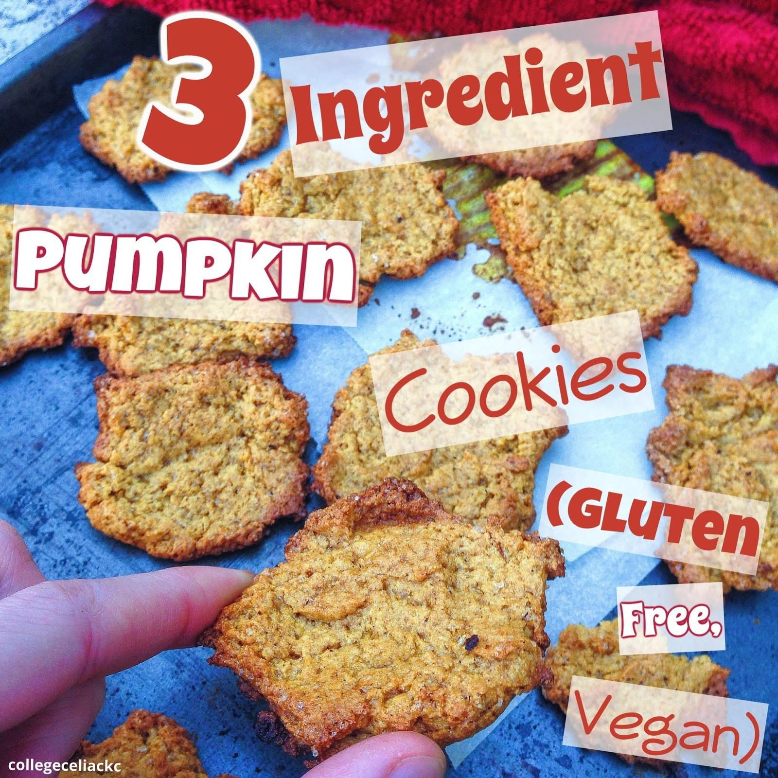 3 Ingredient Pumpkin Cookies
 3 Ingre nt Pumpkin Cookies Glutenfree Vegan