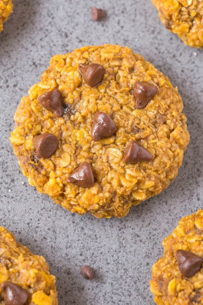 3 Ingredient Pumpkin Cookies
 Healthy 3 Ingre nt Nut Free Flourless Pumpkin Cookies