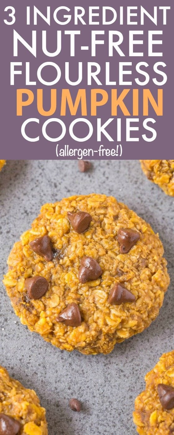 3 Ingredient Pumpkin Cookies
 Healthy 3 Ingre nt Nut Free Flourless Pumpkin Cookies