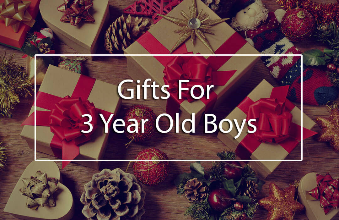 3 Year Old Boy Birthday Gift Ideas
 The Top 5 Best Gifts for 3 Year Old Boys 3 Year Old
