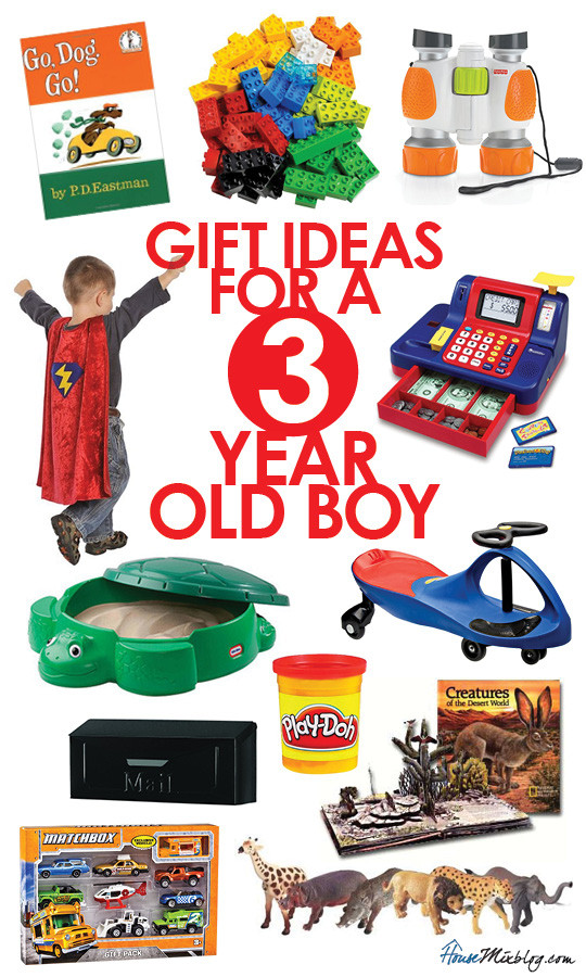 3 Yr Old Birthday Gift Ideas Boys
 Toys for a 3 year old boy