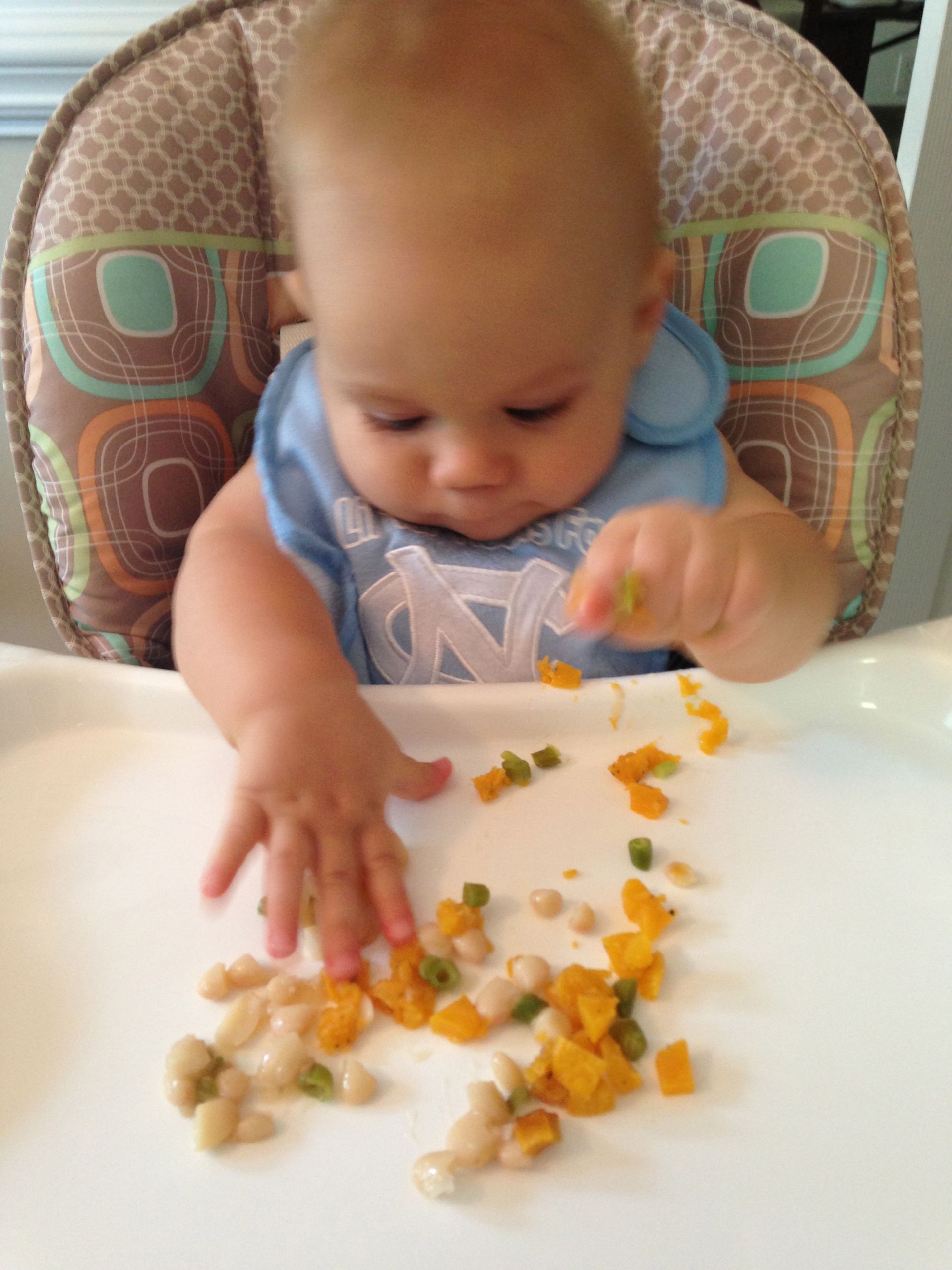 9 Month Old Baby Recipes
 Baby Food 8 to 9 months SevenLayerCharlotte