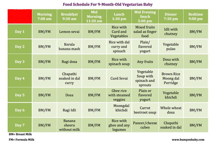 9 Month Old Baby Recipes
 9 Month Old Feeding Schedule with FREE Printable Food Charts