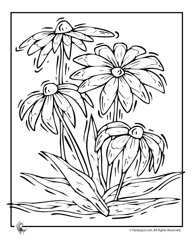 Ac Moore Adult Coloring Books
 colouring pages adults Bing