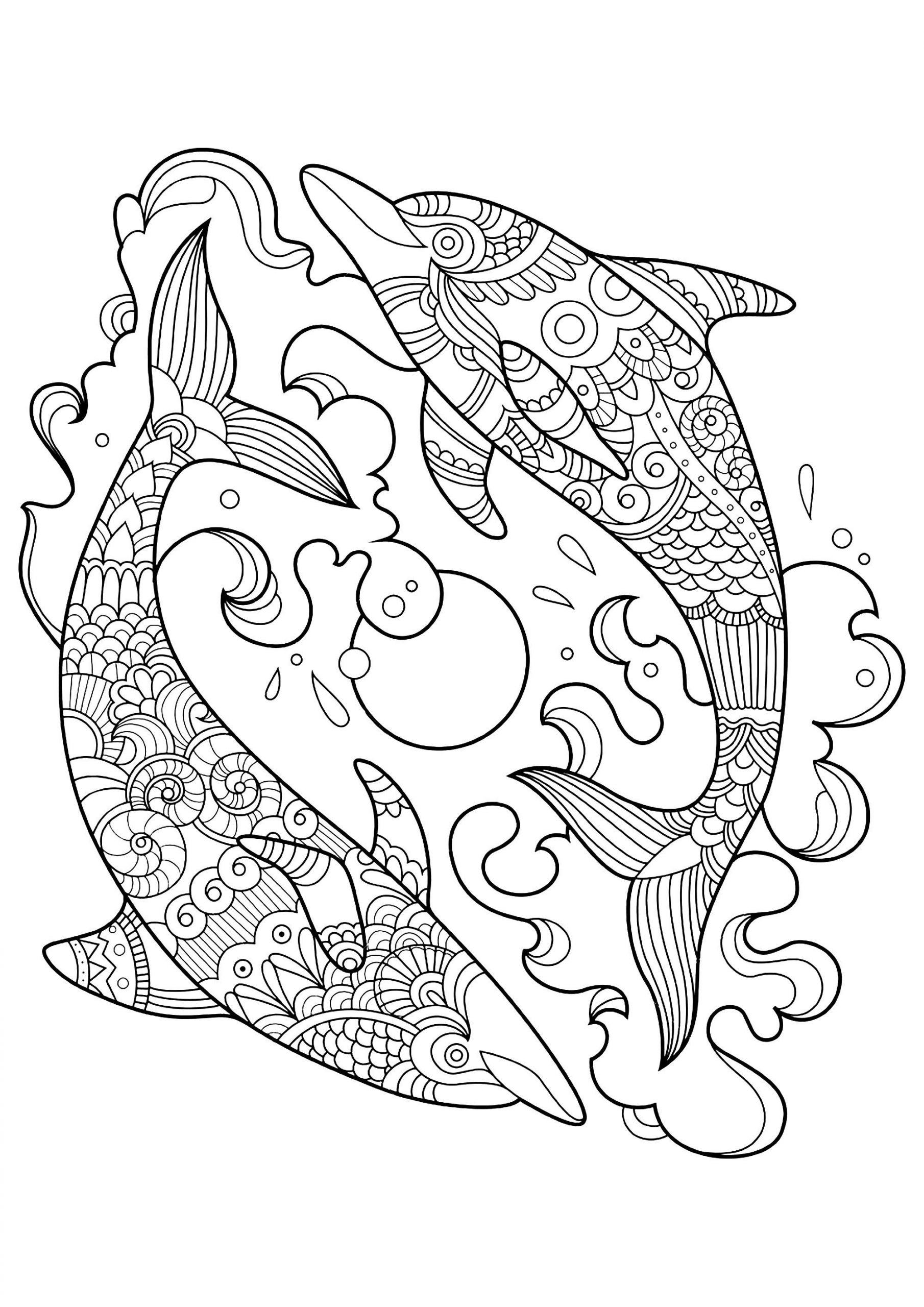 Adult Coloring Pages For Kids
 Dolphins to color for children Dolphins Kids Coloring Pages