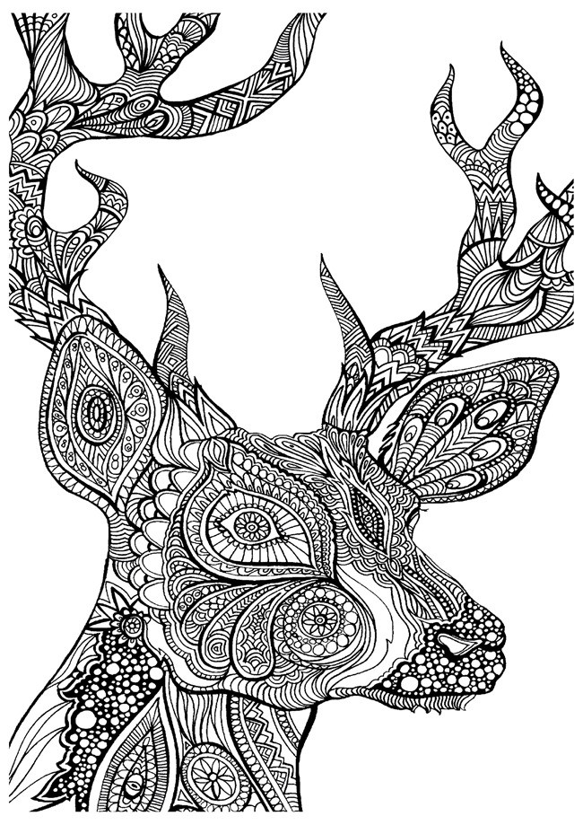 Adult Coloring Pages Printables
 Printable Coloring Pages for Adults 15 Free Designs