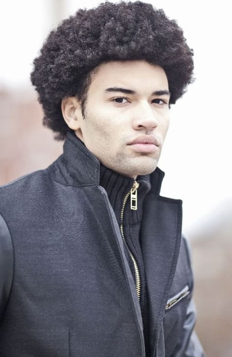 Afro Hairstyles Male
 85 Best Afro & Black Men Hairstyles and Haircuts The