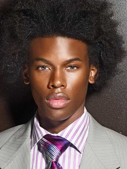 Afro Hairstyles Male
 Haircuts For Black Men With Curly Hair