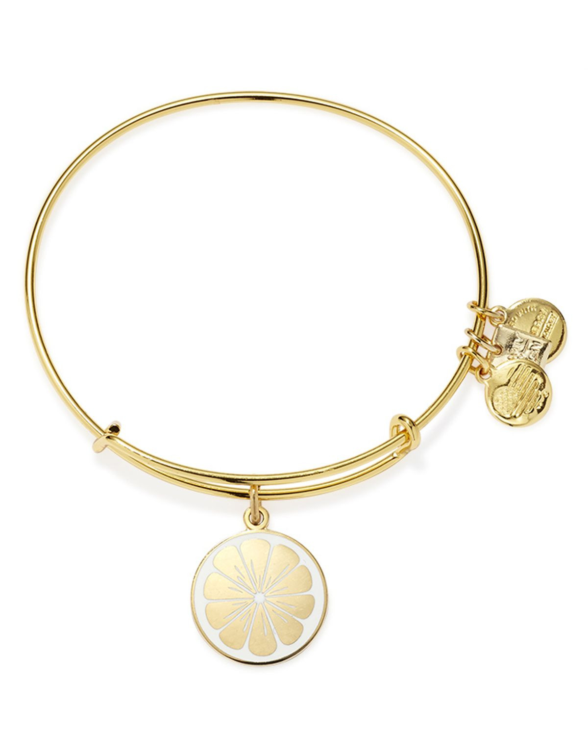 Alex And Ani Bracelet
 Alex and ani Zest For Life Expandable Wire Bracelet in