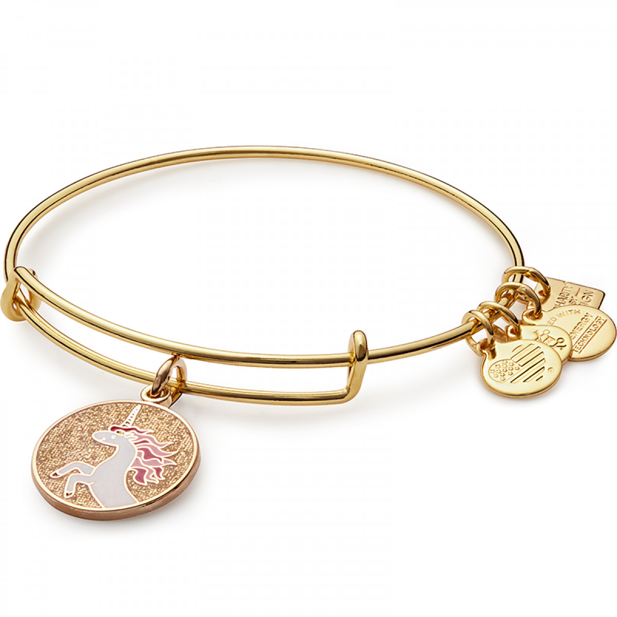 Alex And Ani Bracelet
 ALEX and ANI Charms Give Back