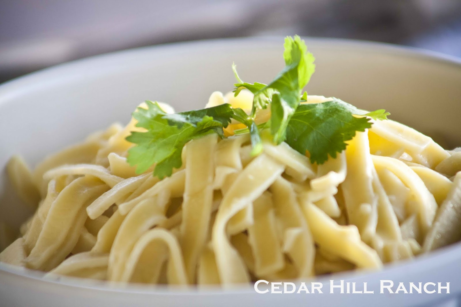 Amish Egg Noodles
 Ranch Stroganoff with Amish Egg Noodles Cedar Hill Farmhouse