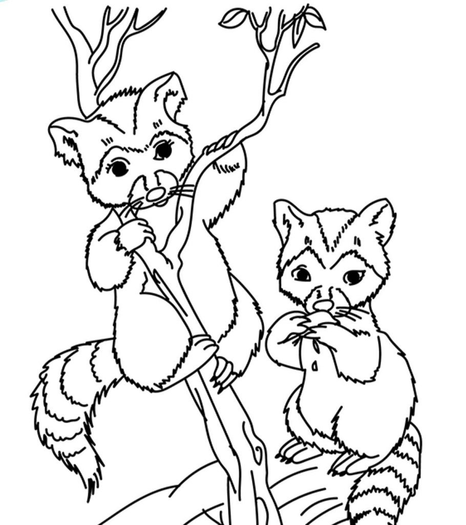 Animals Coloring Pages For Kids
 Top 25 Free Printable Wild Animals Coloring Pages line