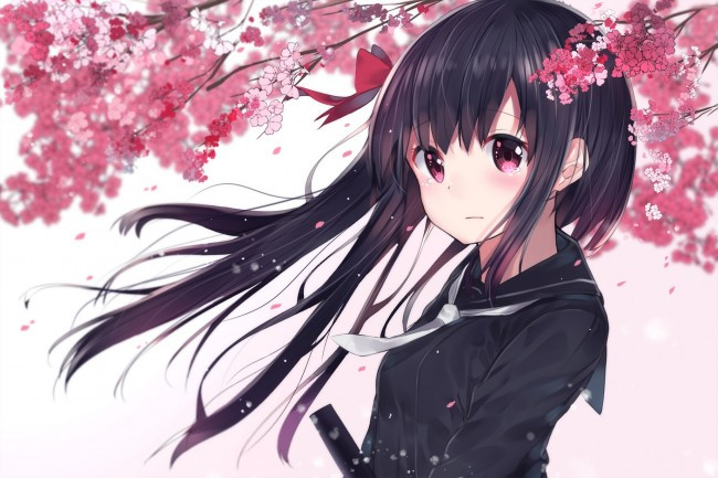 Anime Girl Long Hairstyles
 Wallpaper Anime Girl Tears Sakura Blossom Long Hair