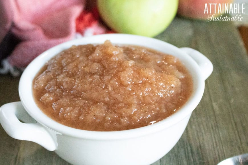 Applesauce Canning Recipe
 Homemade Applesauce Recipe Canning Applesauce or Enjoy