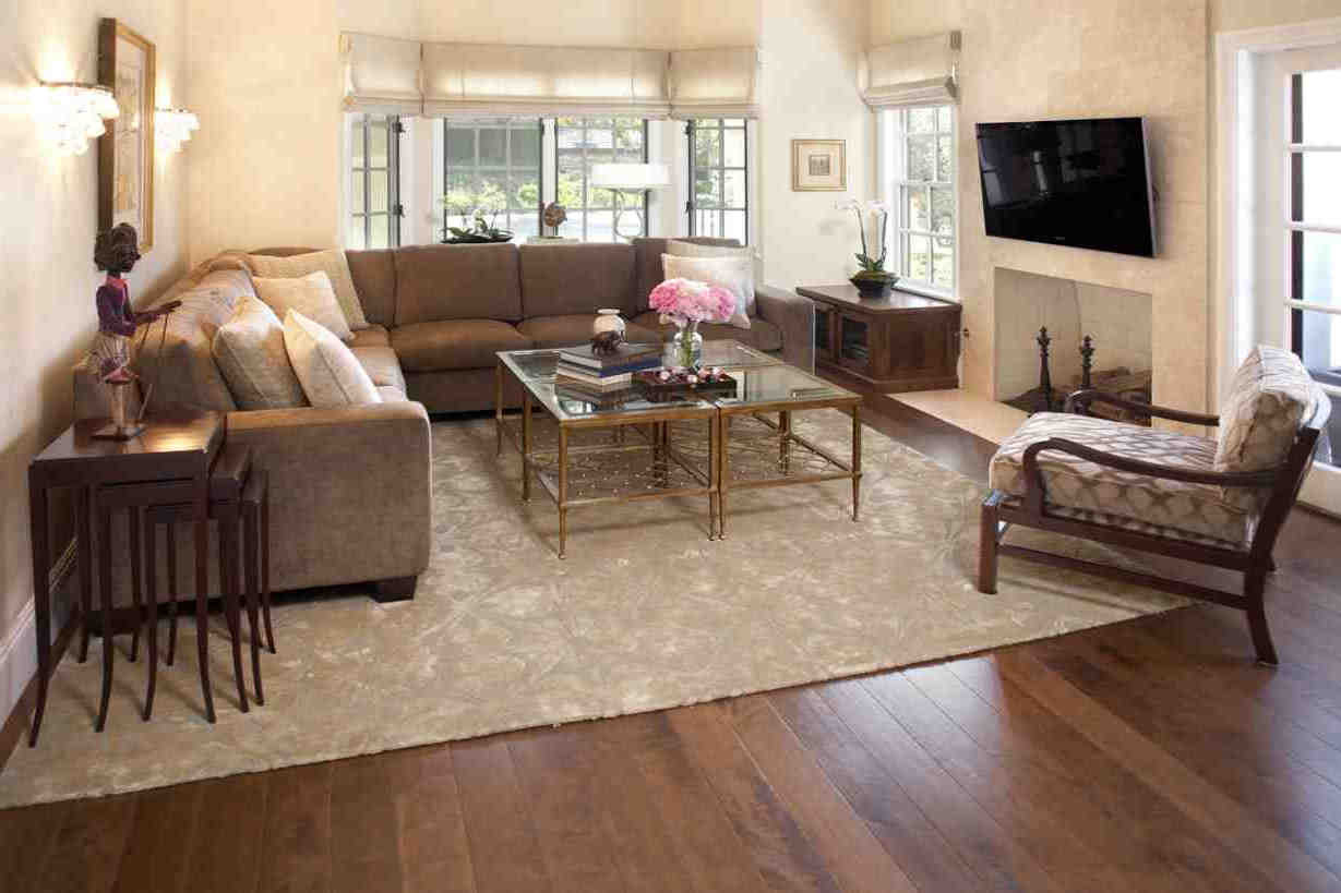 Area Rug For Living Room
 Rugs for Cozy Living Room Area Rugs Ideas