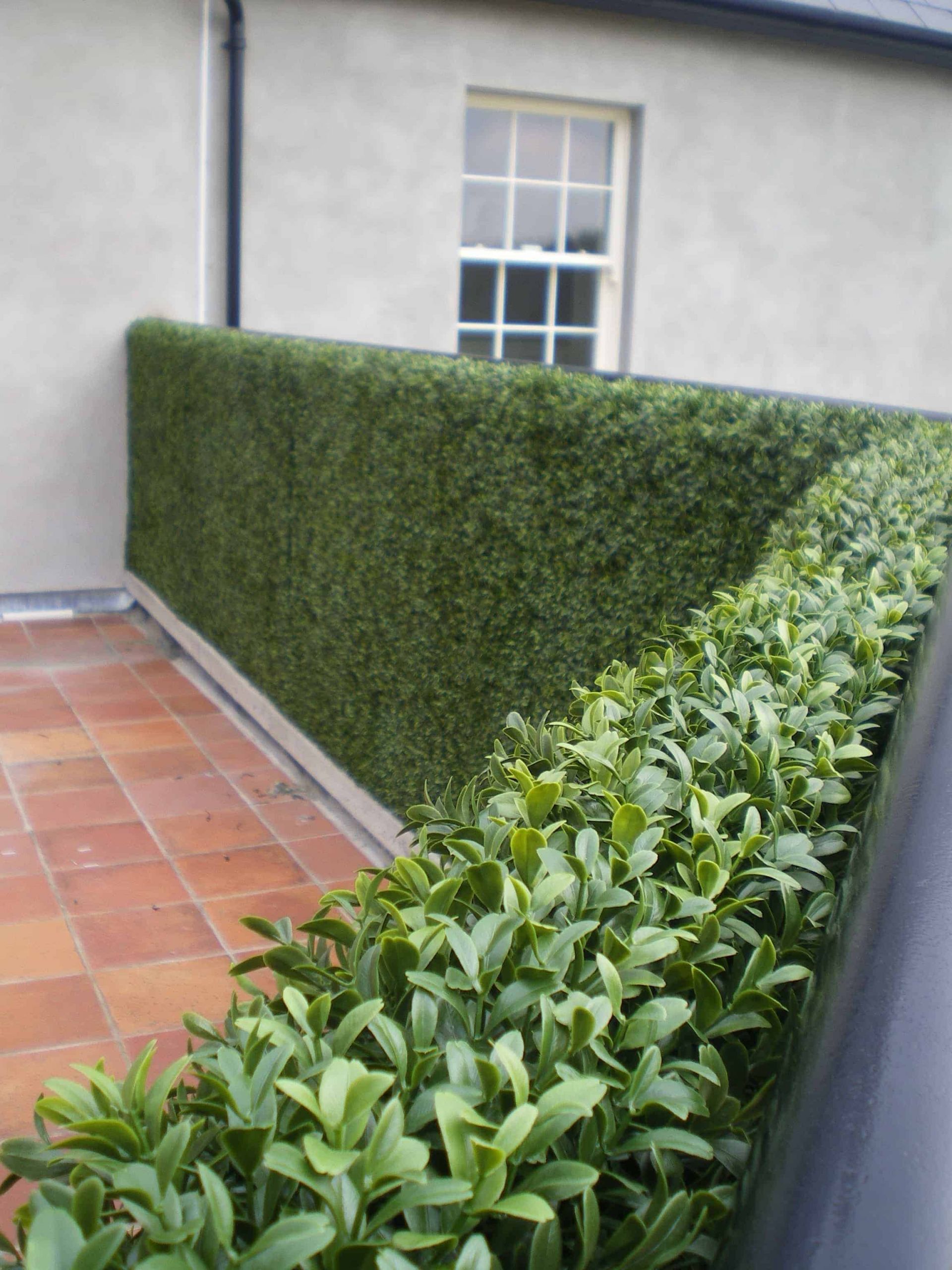 Artificial Outdoor Landscaping
 Artificial Boxwood Tile 25cm