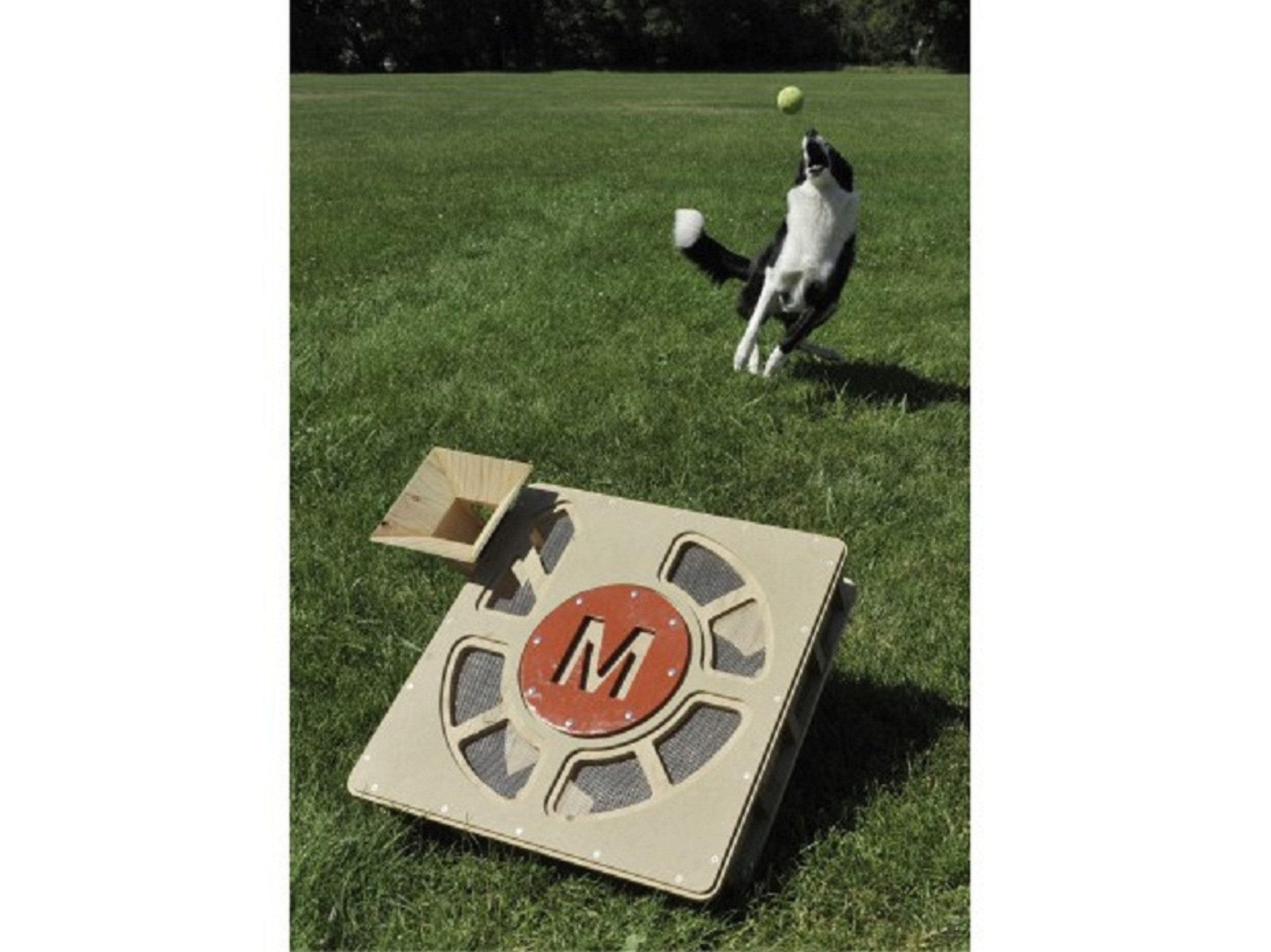 Automatic Dog Ball Thrower DIY
 10 Perfect DIY Projects for Makers Who Love Their Pets