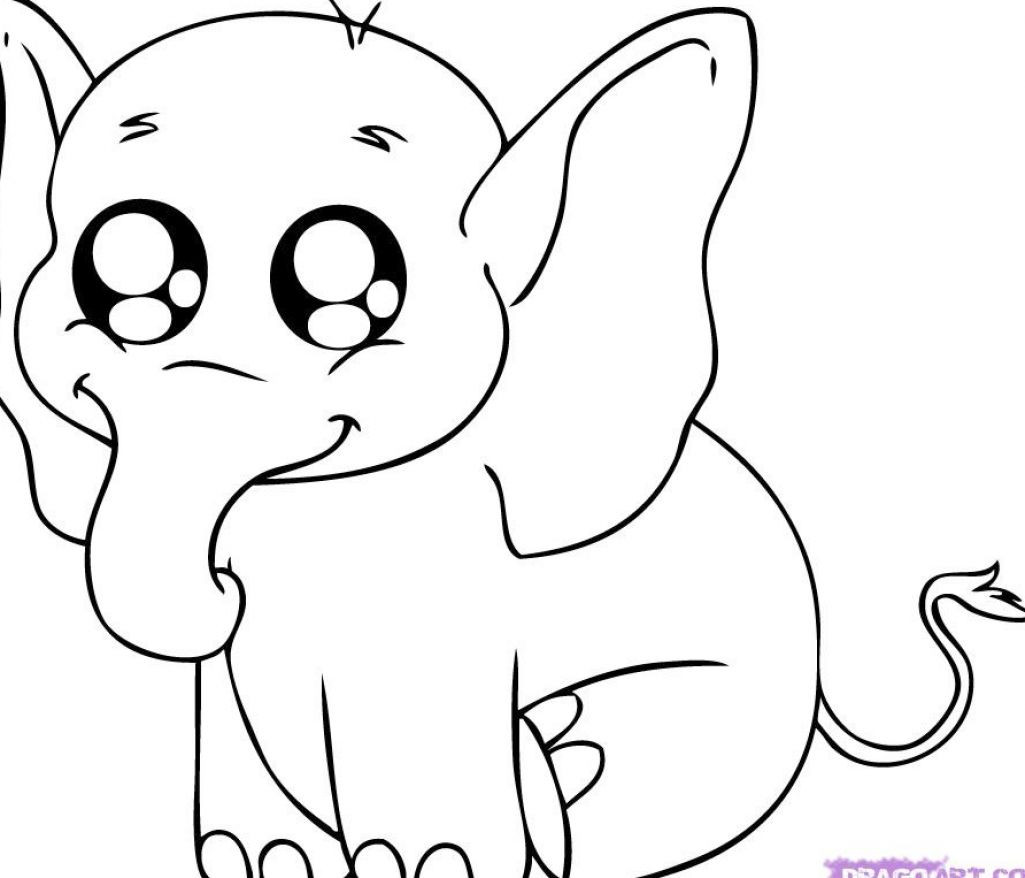 Baby Animal Coloring Book
 Printable animal coloring pages 13 Sheets