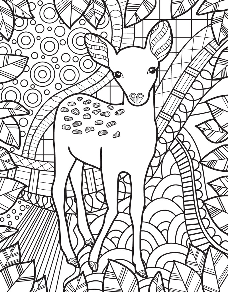 Baby Animal Coloring Book
 Zendoodle Coloring Baby Animals Jeanette Wummel