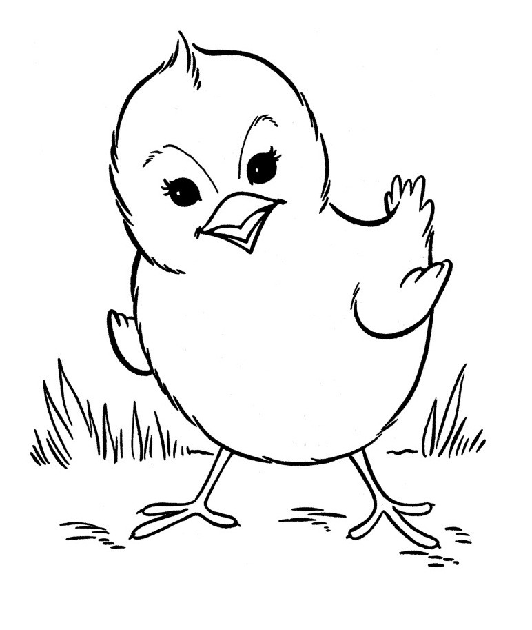 Baby Animal Coloring Book
 Free Printable Farm Animal Coloring Pages For Kids