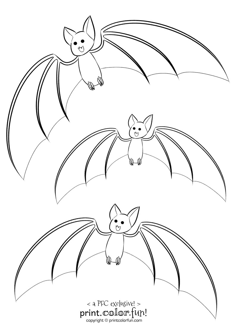 Baby Bat Coloring Pages
 3 cute bats coloring page Print Color Fun