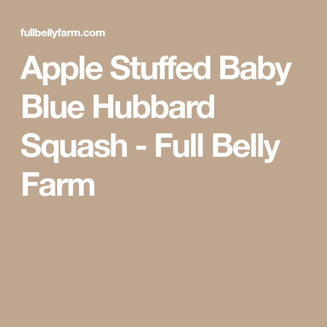 Baby Blue Hubbard Squash Recipes
 Apple Stuffed Baby Blue Hubbard Squash Full Belly Farm