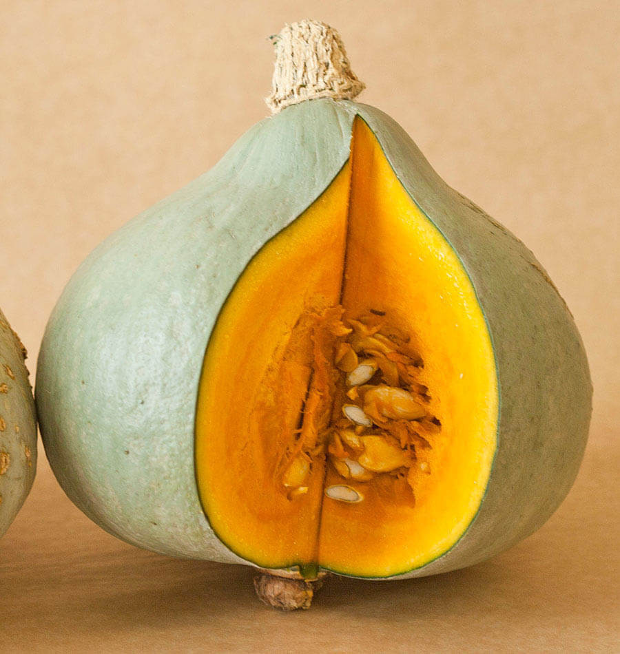 Baby Blue Hubbard Squash Recipes
 Baby Blue Hubbard squash seeds