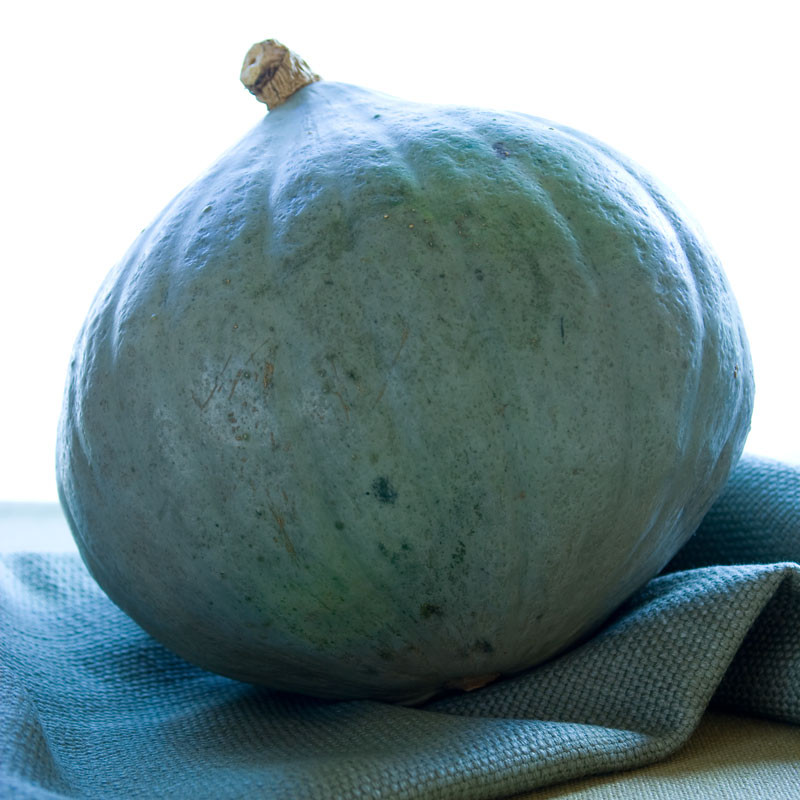 Baby Blue Hubbard Squash Recipes
 savory squash puree Healthy Seasonal Recipes