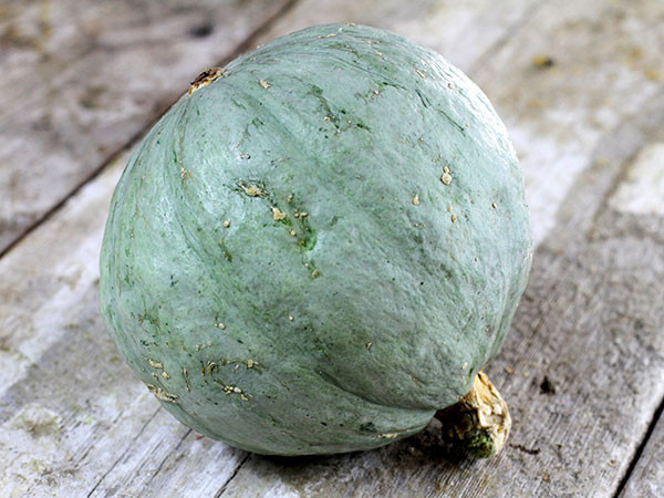 Baby Blue Hubbard Squash Recipes
 Baby Blue Hubbard Squash