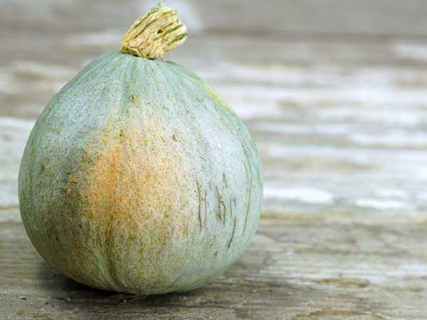 Baby Blue Hubbard Squash Recipes
 Baby Blue Hubbard Squash