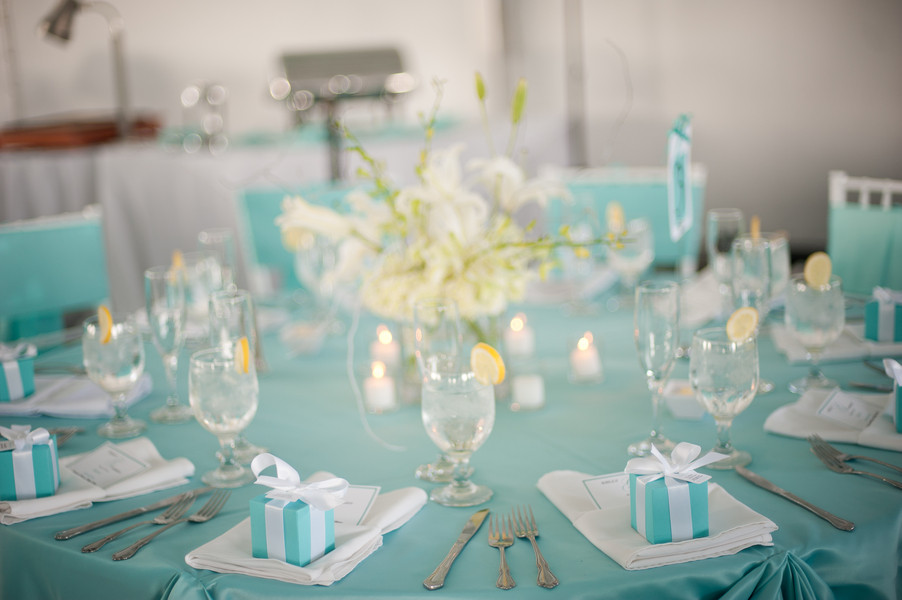 Baby Blue Wedding Decor
 Light Blue Wedding Decorations