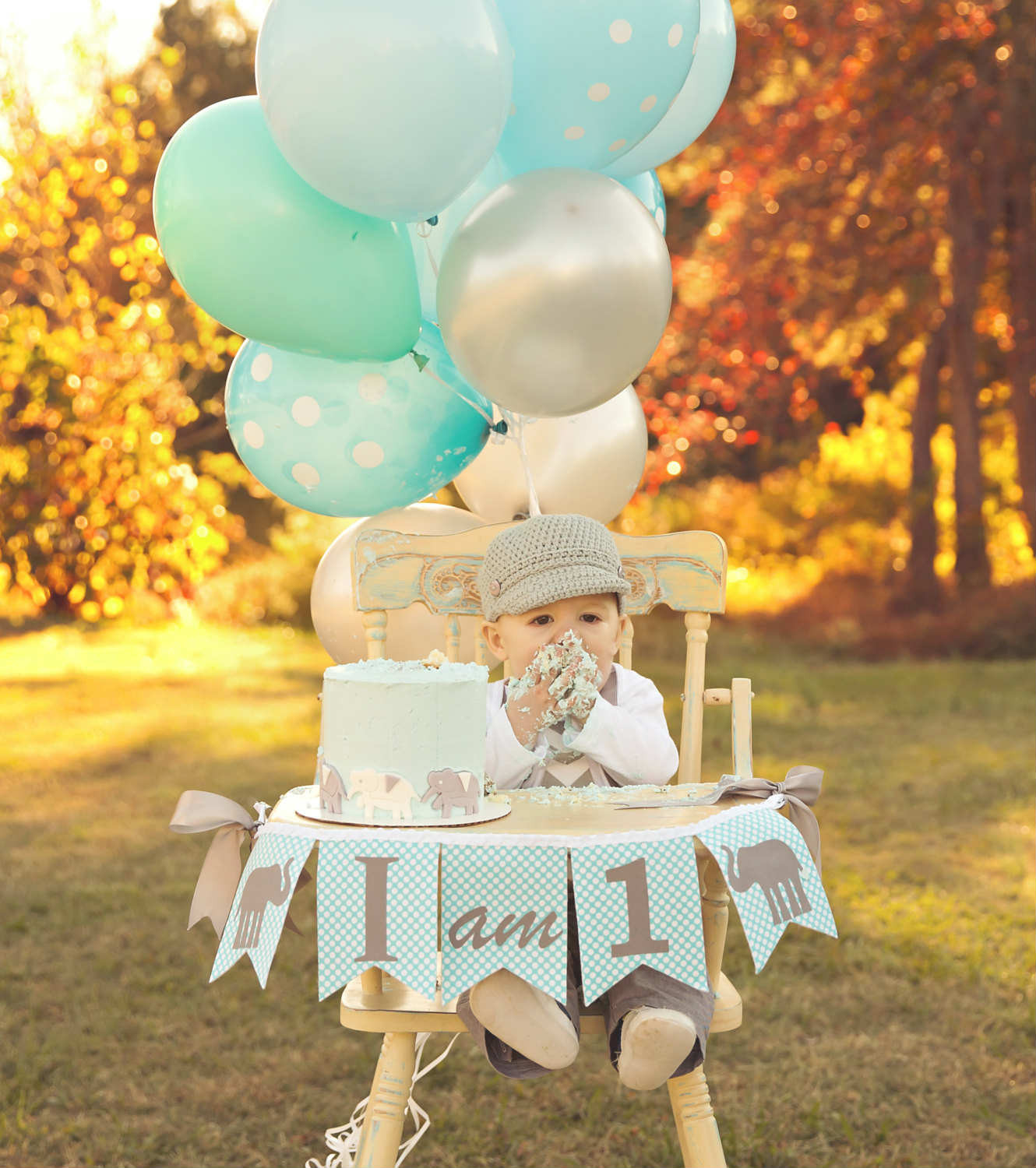 Baby Boy 1st Birthday Decorations
 First Birthday The time to celebrate is here
